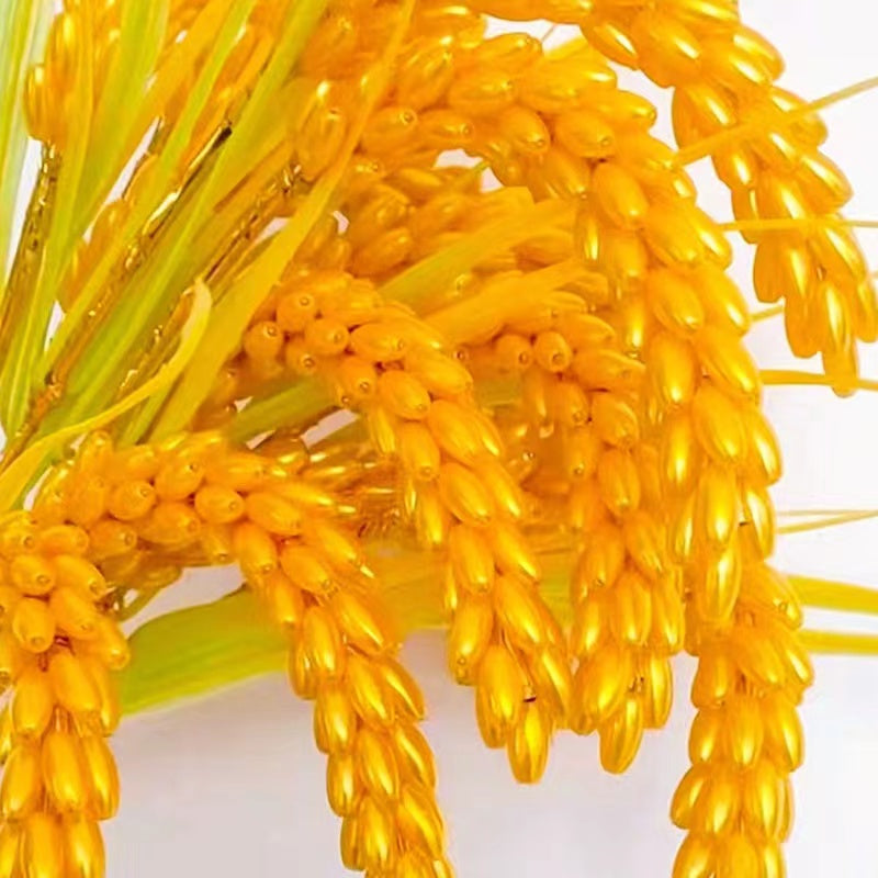Buatan tangan DIY manik-manik emas bahan baku telinga gandum homedecr aksesoris 250g